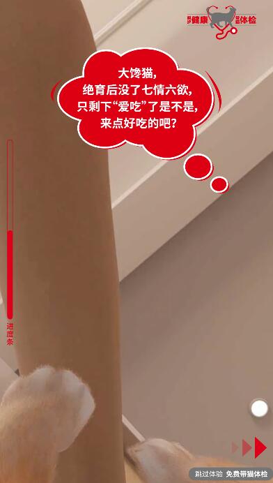 抚摸猫肚