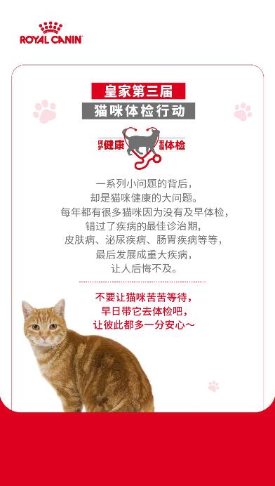 游戏结束