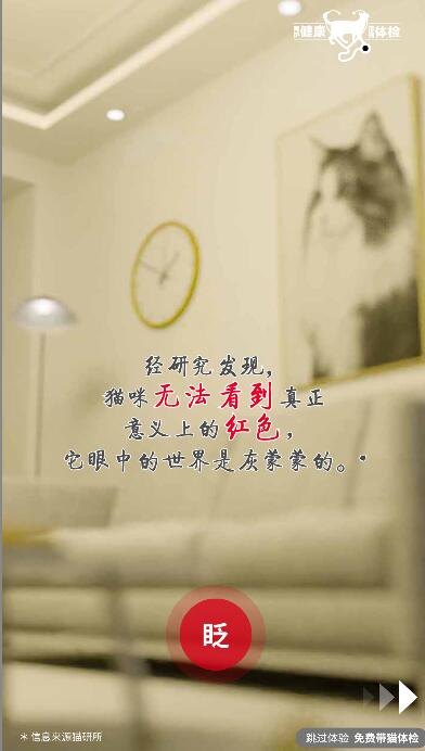 猫色彩视觉