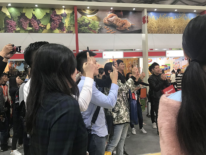 互动游戏，大屏互动游戏，手机互动游戏，小游戏定制，互动游戏开发